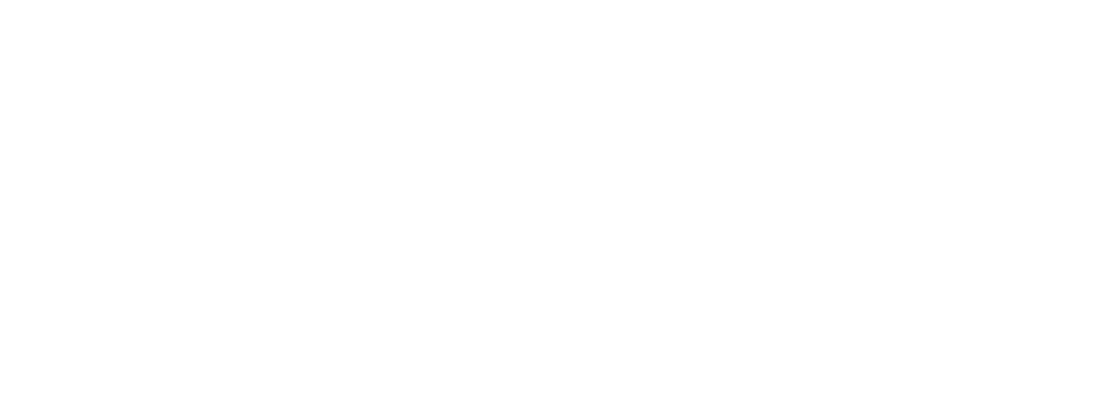 Teewise logo